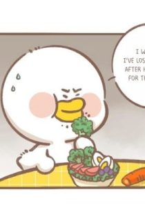Soya Duck