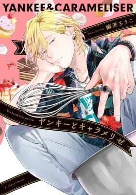 Yankee to Carameliser Yankee to Carameliser